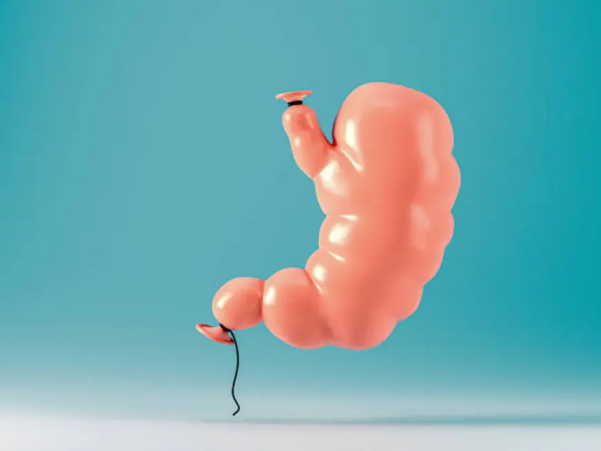 Maximize Your Weight Loss Results with Spatz 3 Balloons in Dubai