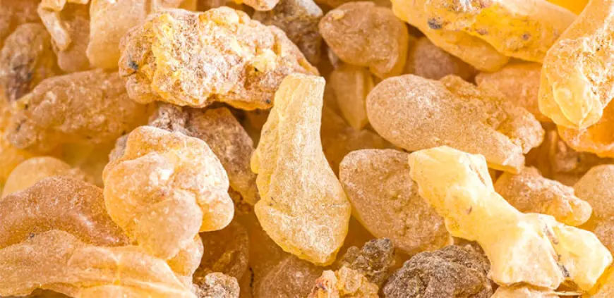 Global Resins Market Outlook 2025–2030: Trends, Growth Drivers & Opportunities