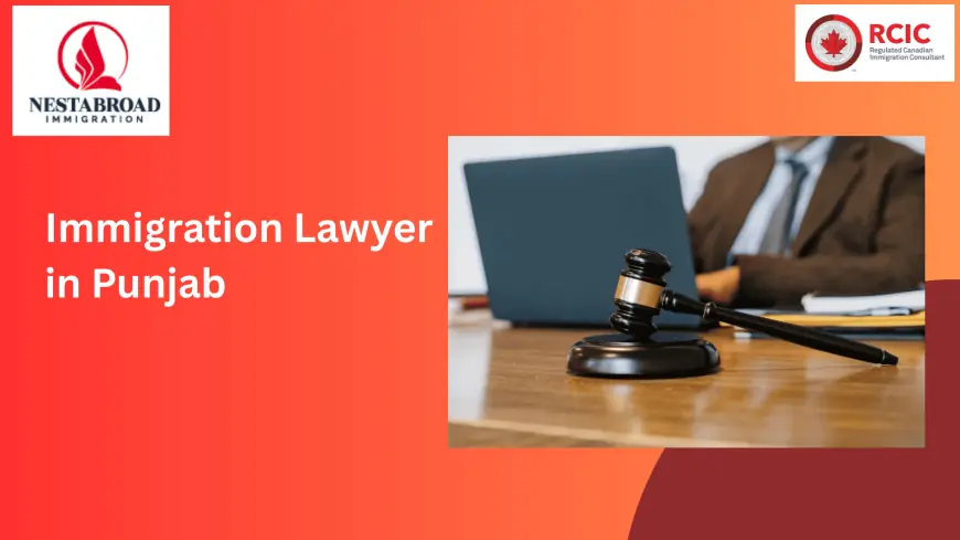 Your Trusted Immigration Lawyer in Punjab: Guiding You Through Uncertainty