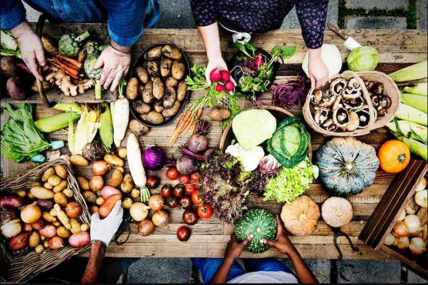 United States Organic Food Market Industry Demand Mapping & Share Outlook 2025–2033