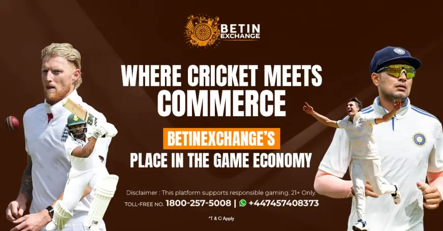 Betinexch | Your Destination for Sports & Entertainment Updates