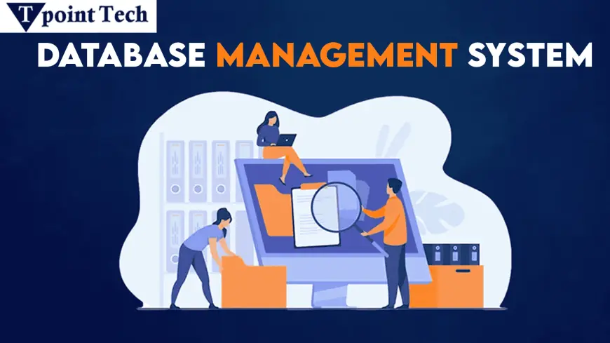 The Role of a Database Management System in Data Handling