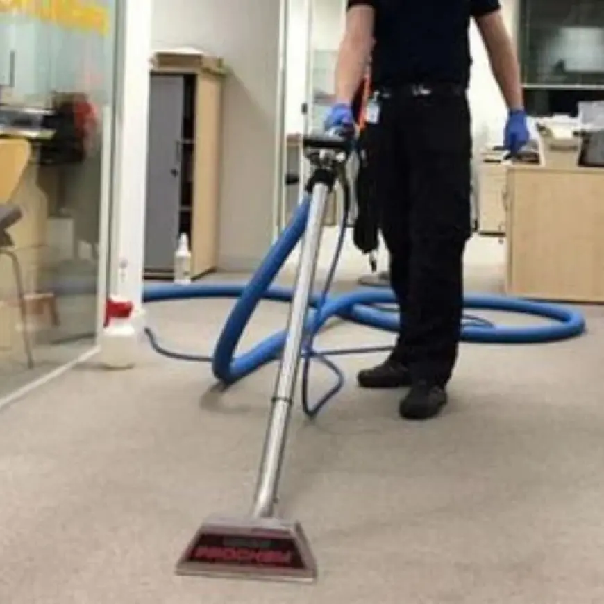 How Professional Cleaning Extends the Life of Your Carpet and Upholstery