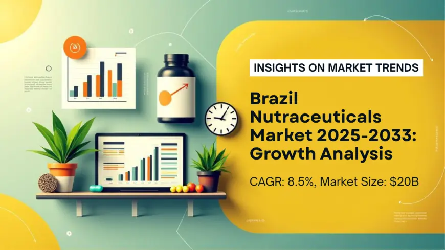 How Large Is the Brazil Nutraceuticals Market and What Growth Is Forecasted by 2033?