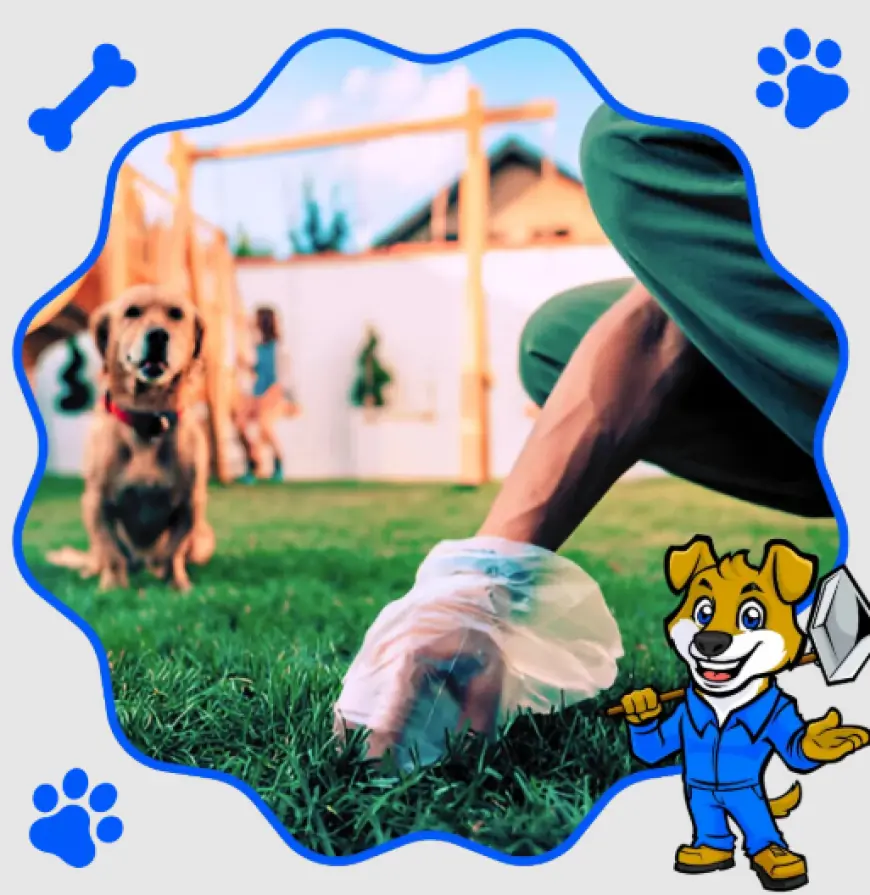 Professional Pet Waste Removal Company in Wise County – Hassle-Free Poop Scooping Services