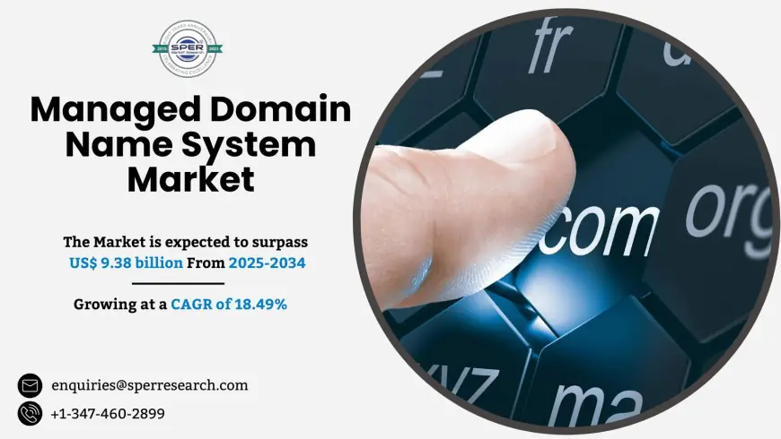 Managed Domain Name System Market Size and Analysis 2034