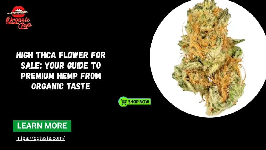 High THCa Flower For Sale: Your Guide to Premium Hemp from Organic Taste