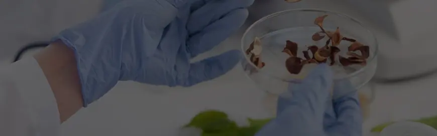 Everything to Know About BSc Forensic Science