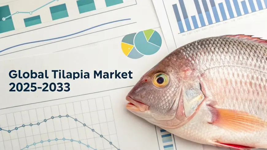 Tilapia Market Share, Trends Analysis, Growth Factors, and Forecast 2025-2033