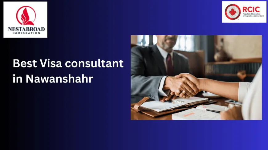 Why Nestabroad Is the Greatest Visa Advisor in Nawanshahr: How to Obtain Your Canadian Dream