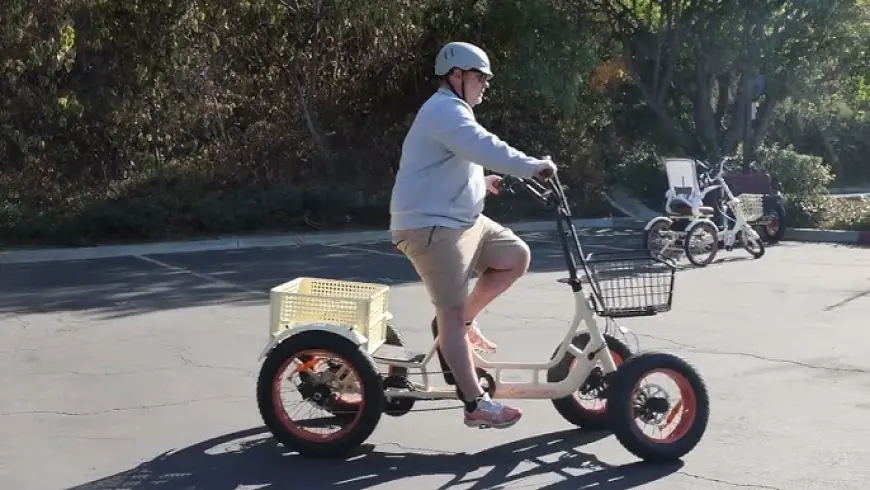 Quadricycle and Tricycle Market 2030 Analysis & Forecasts