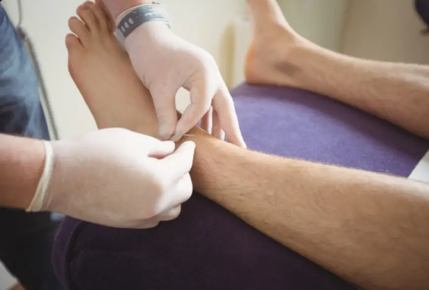 Physiotherapy in Scarborough: How Physic Care Restores Mobility & Strength