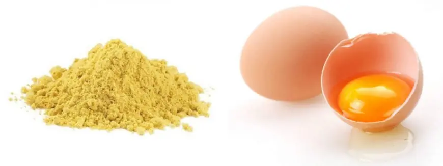Dried Eggs Market Long-Term Outlook with Global Growth Trends, Consumption Patterns and Strategic Opportunities