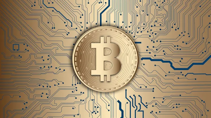 How Are User Behaviors Influencing Crypto Exchange Trends in 2025?