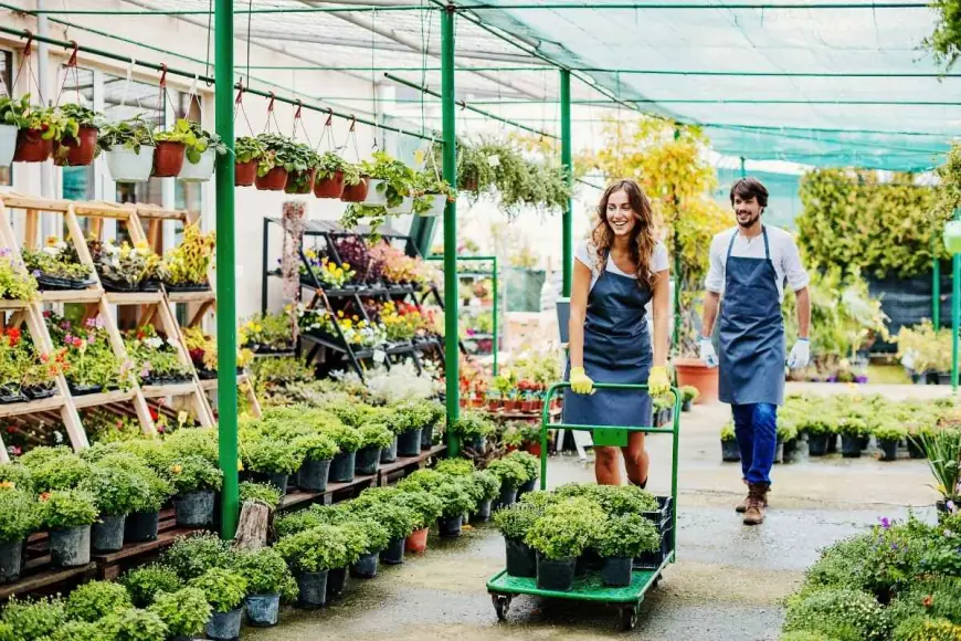 Explore the Best Garden Centers Appleton Has to Offer for a Thriving Home Garden