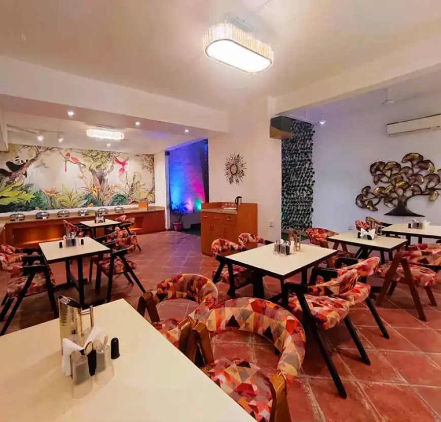 Why Service Apartments Are the Perfect Blend of Comfort and Convenience for Long Stays