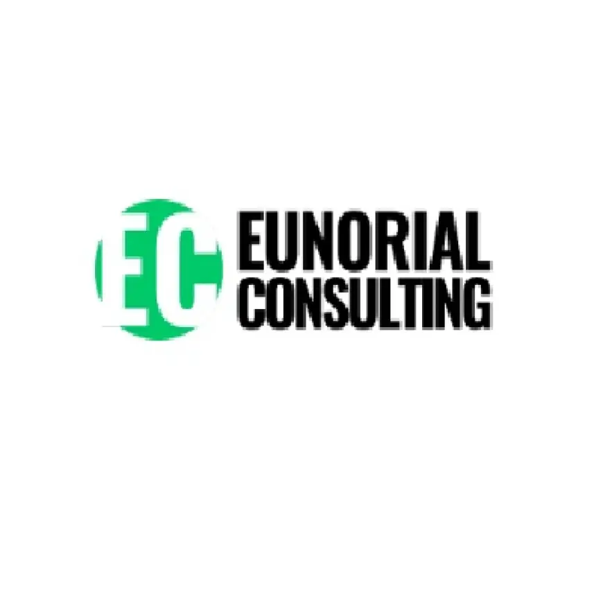 Building Digital Success with Professional Website Design in Canada