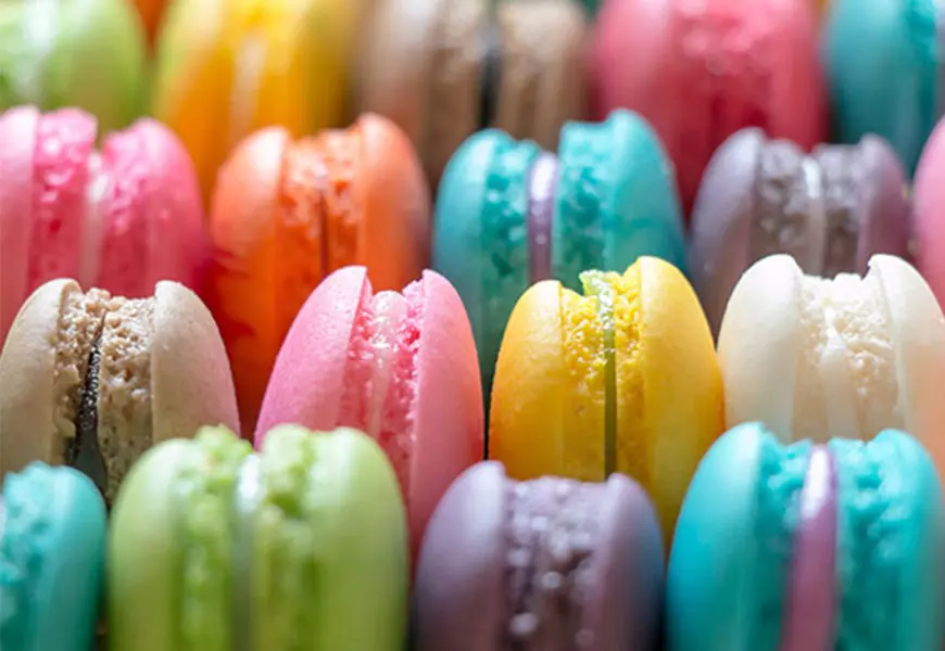 Exploring the Food Flavors Market: Trends, Growth & What’s Next