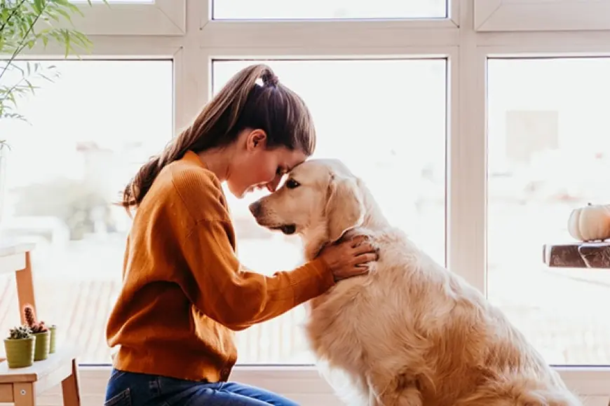 Protecting Your Furry Family: A Local Guide to Pet Insurance in North Dakota