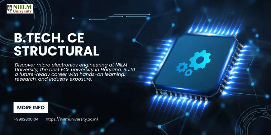Micro Electronics Engineering in Haryana – NIILM University