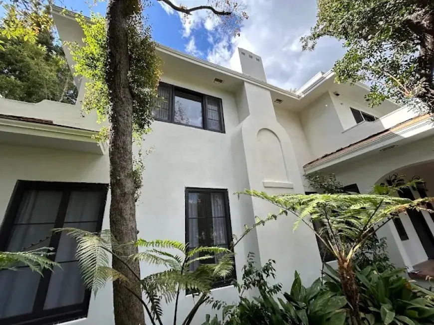 Professional Plastering Services That Elevate Every Space