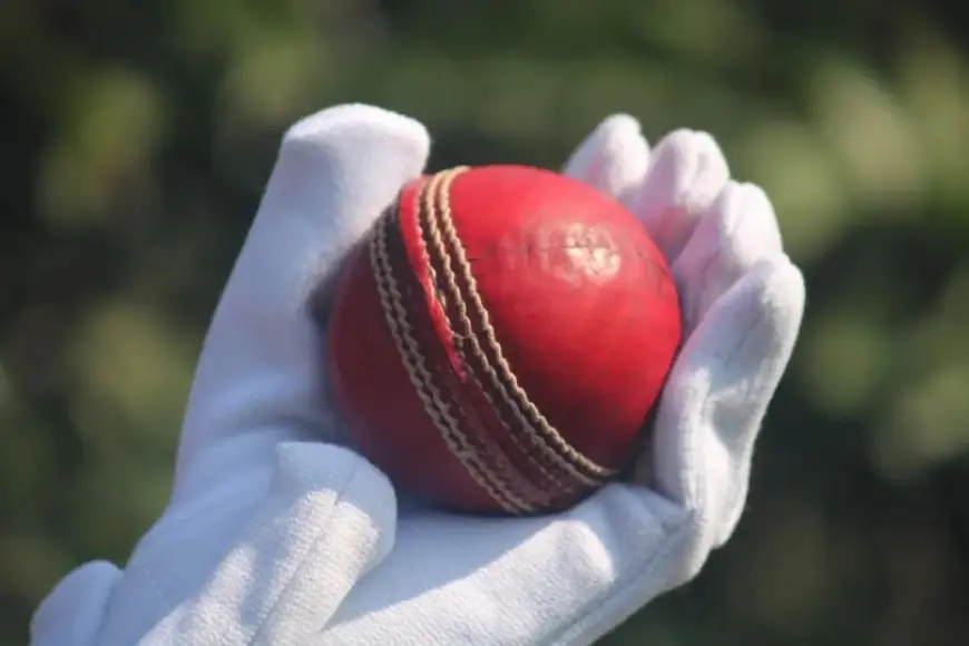 The Science of Batting Dive Into Cricket's Most Intricate Art Revealed