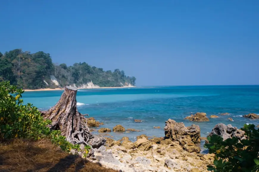 Discover Island Bliss with Andaman Packages from Bangalore and Mumbai