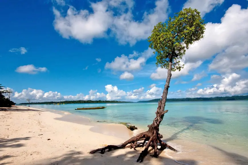 Explore Island Bliss with Andaman Tour Packages from Bangalore and Mumbai