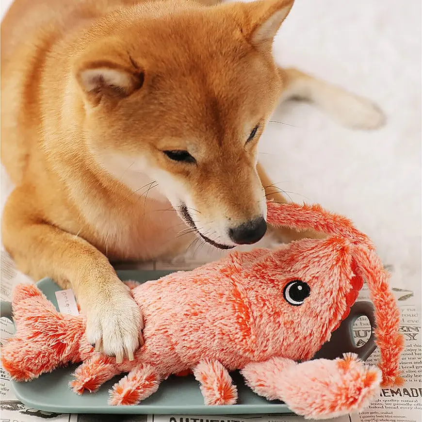 Why The Dancing Lobster Toy for Dogs Belongs in Every Playbox