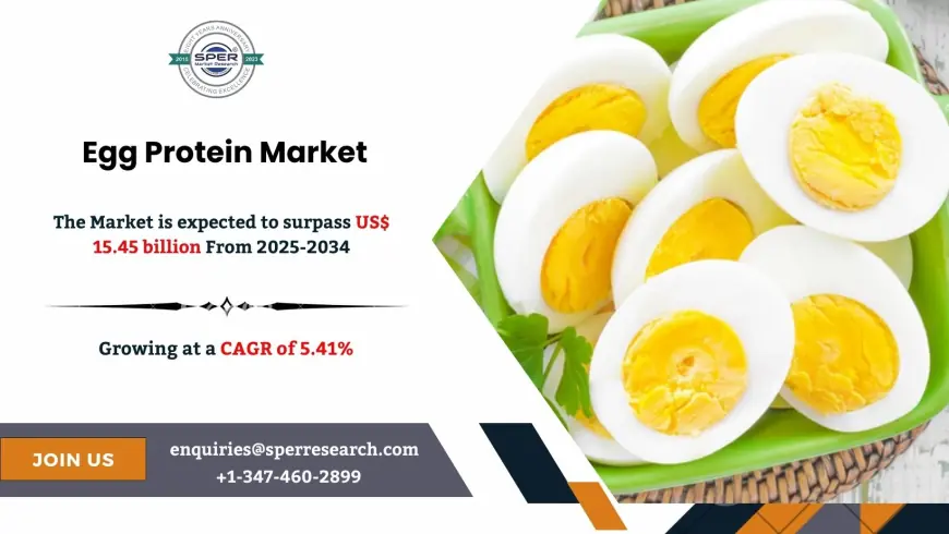 Outlook of Egg Protein Market with Trends Analysis 2034