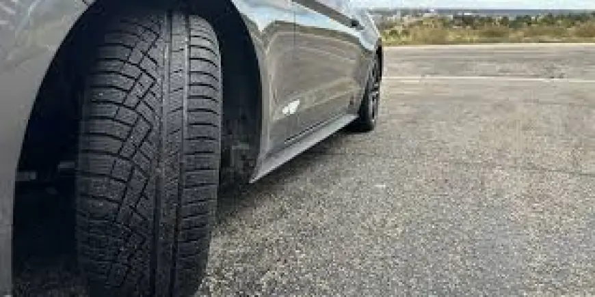 Global All Weather Tire Market 2030F Size and CAGR Projection