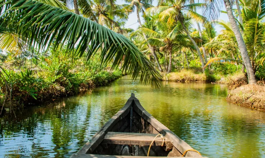Kerala’s Coconut Connection: Food, Drinks & Culture