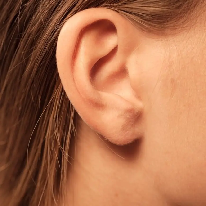 How Long Does Ear Plastic Surgery Take to Heal?