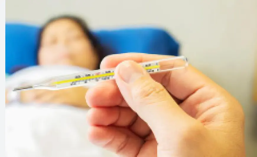 Fever Test: Purpose, Types, Price, and Benefits