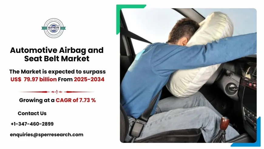 Automotive Airbag and Seat Belt Market Insights: Forecast by Application and Region