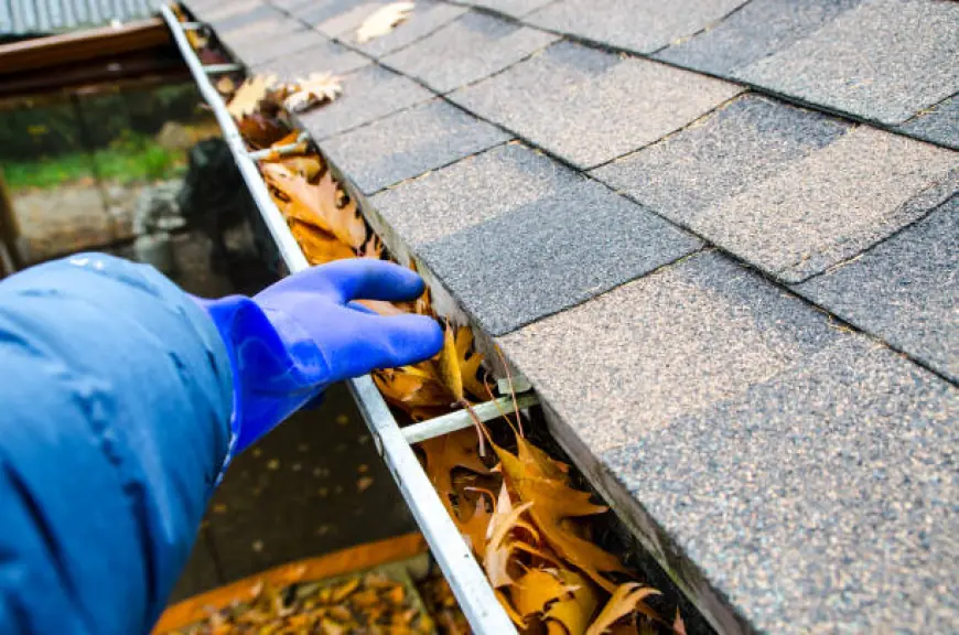 Roof Cleaning for Long-Term Protection and Peace of Mind