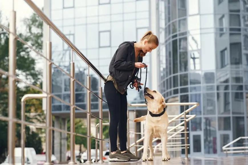 Is Your Pet Safe? The Smart Way to Protect Your Furry Family Member