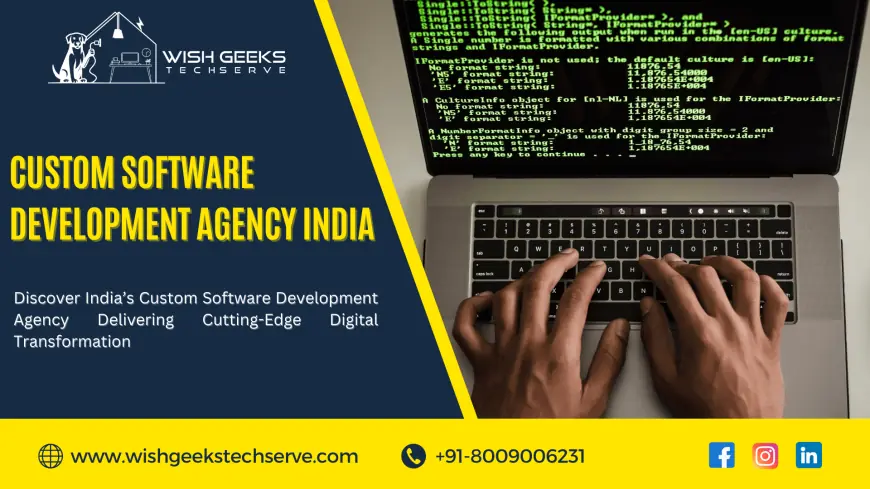 Affordable Custom Software Development Agency in India Offering Tailor-Made IT Service: Wish Geeks Techserve