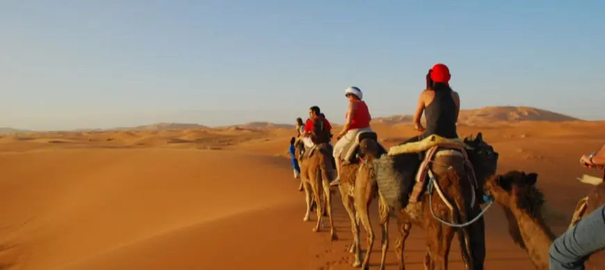 Luxury Guided Tours: The Ultimate Way to Travel in Style
