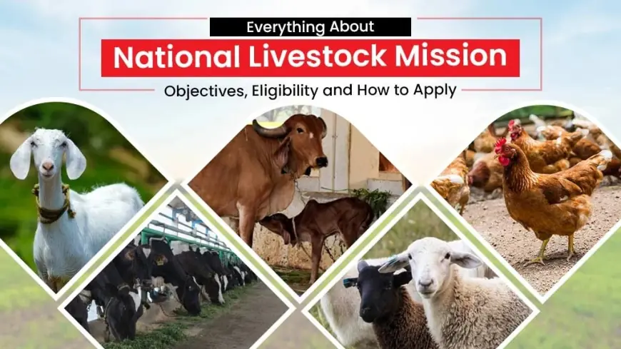 Read How The National Livestock Mission Work for Productivity