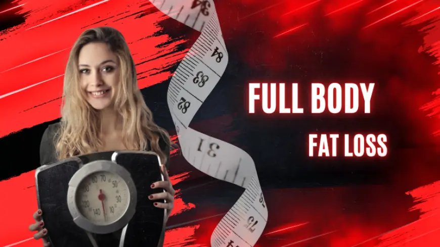 Weight Loss Management That Helps You Stay Fit Daily