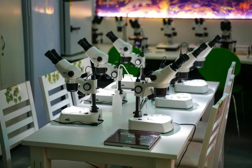 Exsrtel Lab Solution & Innovation Driving Excellence in Dubai