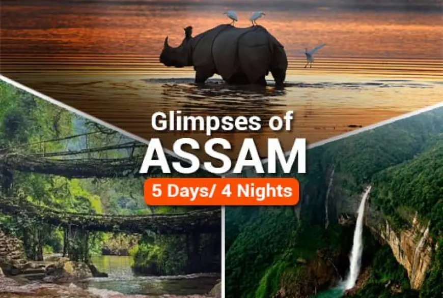 Where is Kaziranga National Park Situated?