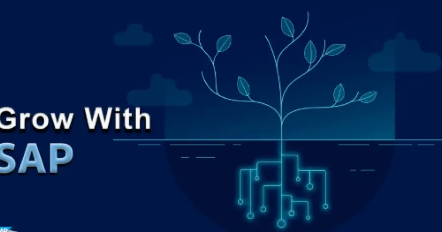 Grow with SAP Solutions: Driving Innovation and Agility in Modern Businesses