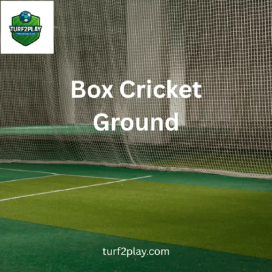 Box Cricket Ground: The Future of Urban Sports