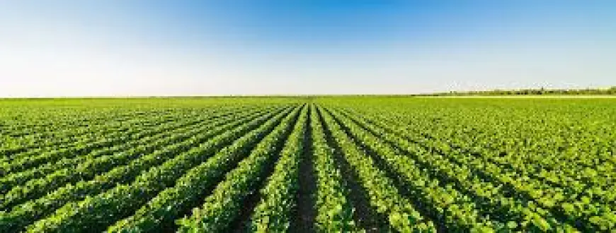 Global Crop Reinsurance Market 2030: Demand & Forecast