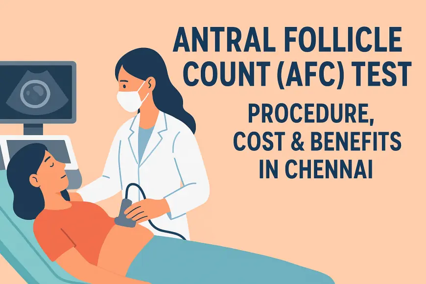 Antral Follicle Count (AFC) Test Explained – Procedure, Cost & Benefits in Chennai