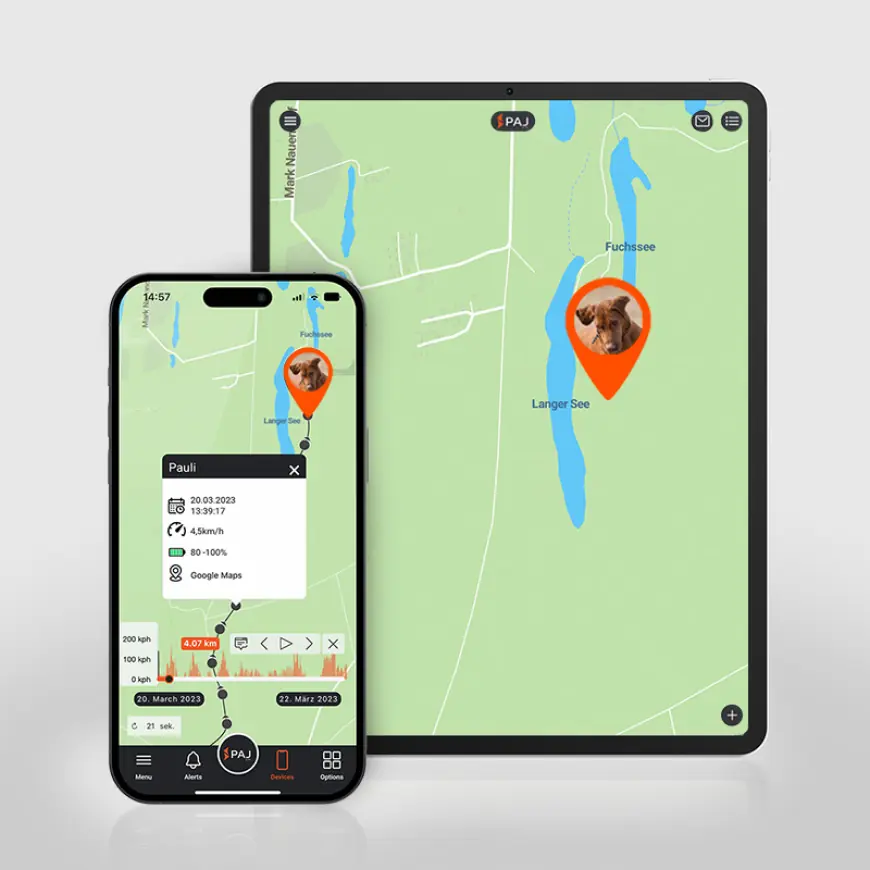 Exploring the Best Dog Trackers: A Guide for Responsible Owners