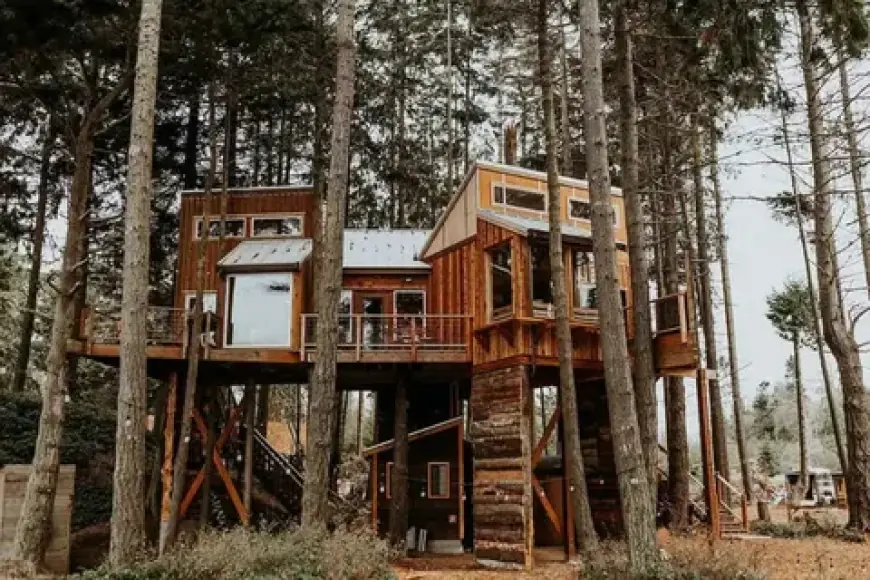 Top 20 Companies in The Treehouse Glamping Market 2025: Statistics Report 2035