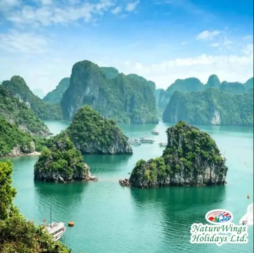 Vietnam Tour Package from Kolkata – Adventure, Culture, and Coastal Beauty